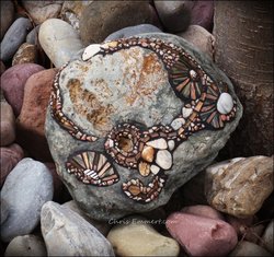Pebble and Shell.....Spring 2012