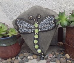 Dragonfly..... Spring 2014